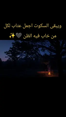 ويبقى السكوت اجمل عتاب لكل من خاب فيه الظن 🖤✨ #موسيقى_حزينه #الارض_الطيبة #نغمات_رنين #هواجيس #تركيا 