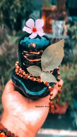धेरै कुरा त माग्दिन भगवान् तर कसैको बोली र व्यवहारले मलाई फरक नपर्ने बनाइदिनु!🙏#fypシ゚ #ओम_नमः_शिवाय #kamaledits #mahadevpremi #harharmahadev #mahadevblessus🕉❣️😘 