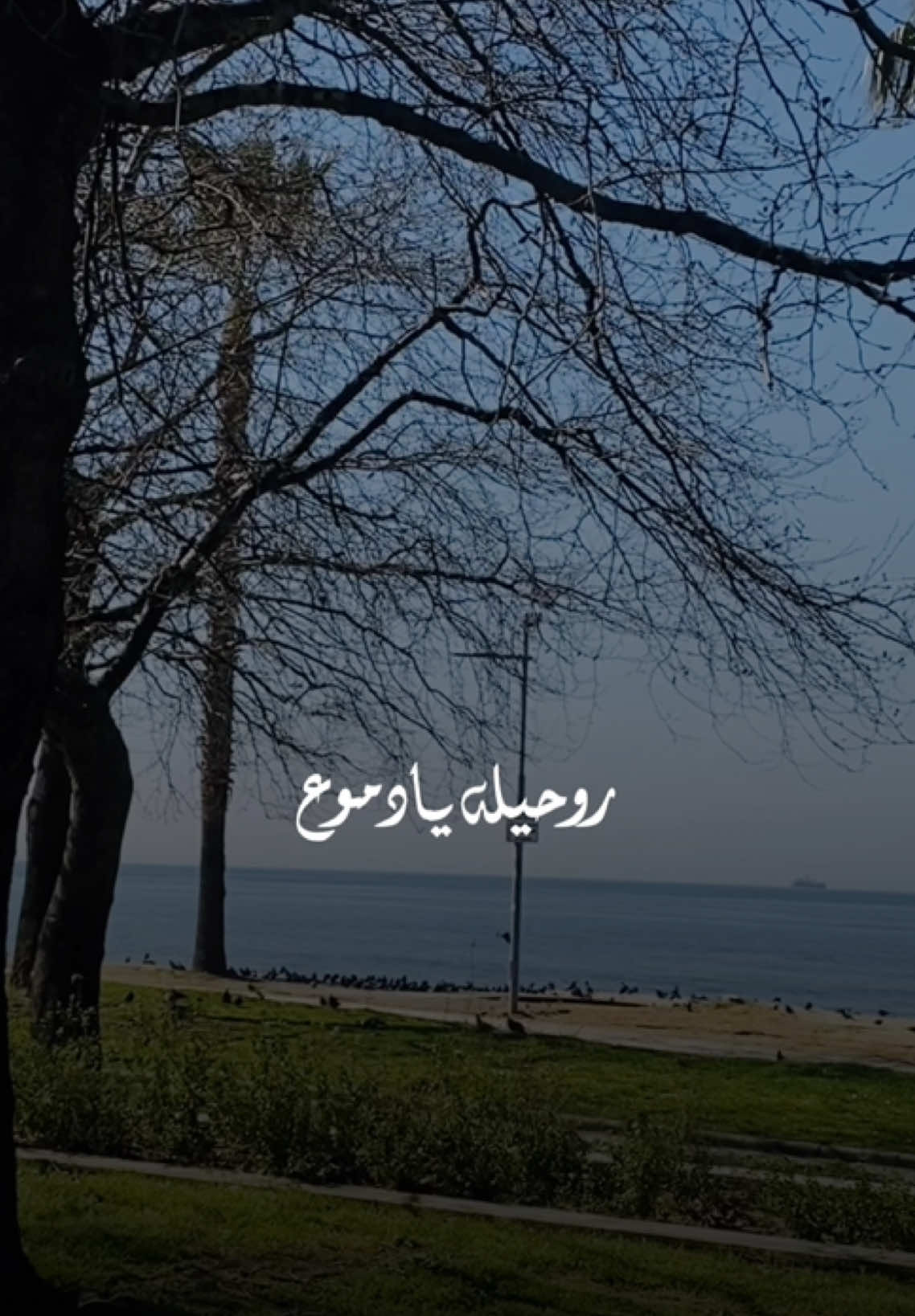 روحيله يا دموع💫كوليله موجوع💫وفتحيله موضوع💫شوقي لرجعته💫ومن يسألج ليش💫كوليله مايعيش💫يعوضك ابيش💫يا روحه انت💫#لؤي_عدنان #روحيله_يا_دموع #تصميم_فيديوهات🎶🎤🎬 #اكسبلورر #يلوا 