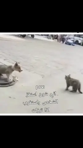#fypシ #fypシ #شعر 