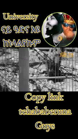 #segeneytieritrea💙 #brgednhameduብርጌድንሓመዱ✊🏿💙 #eritreantiktok🇪🇷🇪🇷habesha #ethiopian_tik_tok🇪🇹🇪🇹🇪🇹🇪🇹 #habashatiktok 