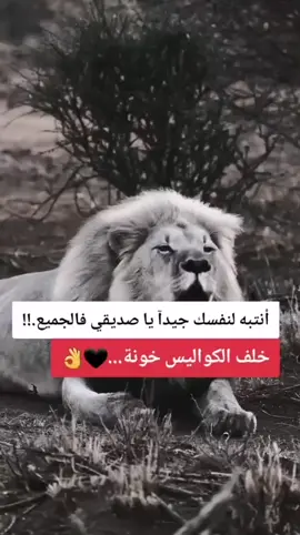 انتبه لنفسك ياصديقي فلجميع خلف الكواليس خونه#اقتباسات_عبارات_خواطر🖤🦋❤️ #الشعب_الصيني_ماله_حل😂😂🙋🏻‍♂️🇧🇭_ #عباراتكم_الفخمه📿📌تجبرني_انشر #مجرد________ذووووووق🎶🎵💞،☹ #عباراتكم_الفخمه🦋🖤🖇 