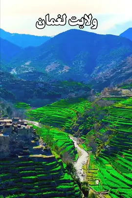 The Beautiful green scenery Of Laghman Province  The Homeland is beautiful #afghanistan🇦🇫 #unfreezemyacount #videoviraltiktok #pageforyou #growaccount 