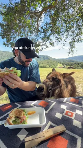 my favorite lunch with our new friends Pablo and Paco at Carmel Valley Ranch! @Carmel Valley Ranch #carmelvalley #carmelbythesea 
