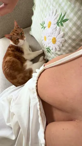 POV Thursday chills 🐈☀️ #summerdress #cat #kitty #explore #discover 
