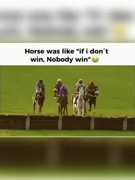 Horse loses jockey mid race and then cuts everyone off and they all fall over! #sports #funny 