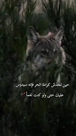 عندما تُمس كرامة الإنسان الحر، فإن عواقبه ستكون وخيمة. 💔  فهو لن يقف مكتوف الأيدي أمام أي مساس بكرامته.  بل سيمضي قدماً بكل قوة ليثبت حقه.  حتى لو واجه صعوبات جمة.  إن احترام كرامة الآخرين واجب علينا جميعاً.  لأنها أساس التعامل السليم بين البشر.  فلنحافظ على هذه القيمة النبيلة.  ولنحرص على تقديرها فينا وفي الآخرين.  ذلك ما يجعل مجتمعنا أقوى وأكثر تماسكاً.  فلنكن سباقين للخير والاحترام. 🙏 #كرامة_الإنسان #احترام_الحرية #قوة_الإرادة #مجتمع_متماسك #قيم_نبيلة 