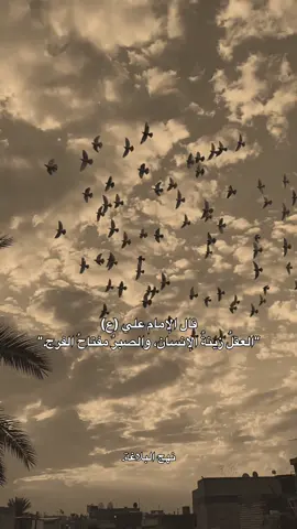 نهج البلاغة، الحكم المأثورة عن الإمام علي بن أبي طالب، تصنيف الحكمة رقم (‏‏٣٦٨) تقريبًا في النسخ الشائعة . . #اكسبلور_تيك_توك #اكسبلور #شاركوا🤎👇 