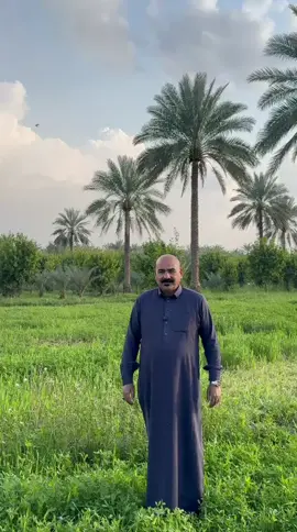السلام عليكم اخوان دونم في منطقه الراشديه قريه الساده البو حيات الدونم ملك طابو سند 25 الوجه ٣٧ ونزال ٦٧ الدونم كلش حلو ومرتب التفاصيل داخل الفيديو السعر ٢٠٠ وبي مجال ويا صاحبه الاتصال على هذه الرقم. ٠٧٧٢٣٥٧٣٨٢٤#الراشدية #عقارات_العراق_بغداد #اراضي_زراعية #مزارع #دوانم 