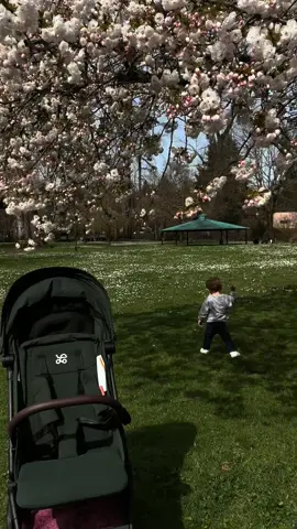 For busy outdoor families… this is it. The Mamazing stroller makes getting out of the house simple, smooth, and stress free + it folds down so easy it’s actually crazy. @Mamazing Global  #momtok #dadtok #toddlersoftiktok #babygear #fyp 