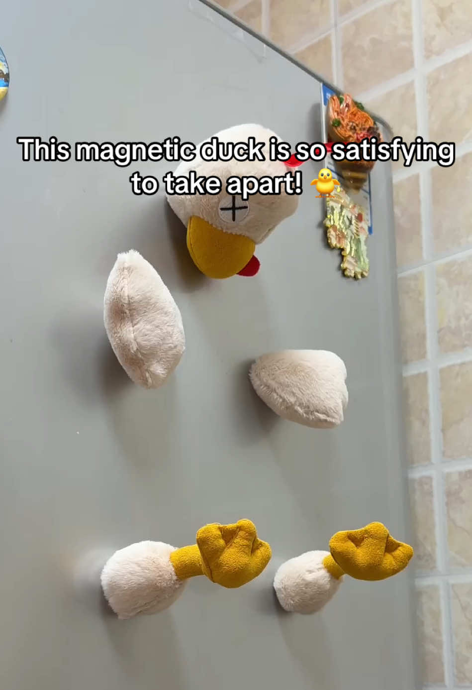 Who knew a plush duck could be this fun? It's magnetic, you can gently take it apart and put it back together easily! Perfect stress relief toy and cute home decor. #TikTokSpringRefresh #SatisfyingToys #MagneticPlush #CuteGadgets #tiktokshopspringglowup