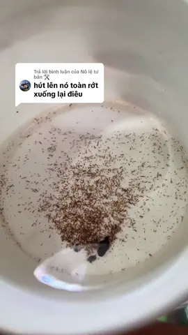 Trả lời @Nô lệ tư bản 🛠️  Demo cách hút 💩 tép cho vị huynh đài ngự lãm. Huynh đài thấy dùng được thì click giỏ hàng mua giúp em nha 🫰 #hutcanbeca #phukienbeca #vesinhbeca #chiasekinhnghiem  @Trịnh Thắng 