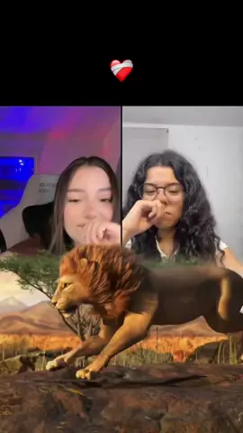 Muchísimas gracias por sorprenderme de esta manera Enigma!! 😭🫶🏻 