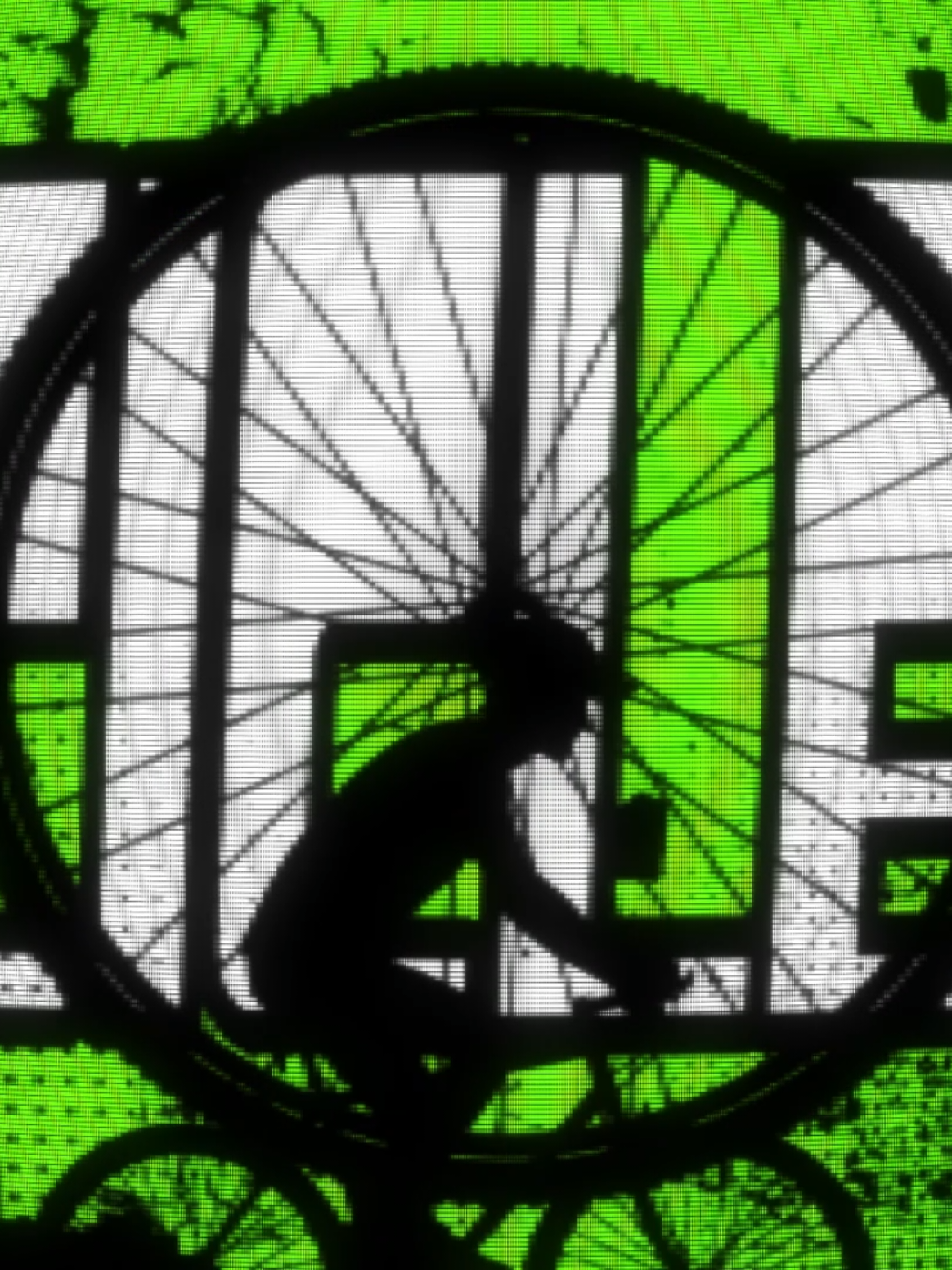 Ese amigo que no sabe andar en bici #dillom #bicicleta #edit #fyp  #XD 