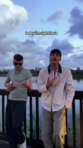 me and my twin play DUSK TILL DAWN by @zayn & @siamusic  #dusktilldawn #cover #music #pop #singer 