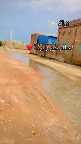 امطار خير وبركة ❤️🦋🔥❤️‍🔥💖.                  نيالا كل الحب و التقدير 💔😎😍🫡👻🥷🎶.                                           الجديد و صل يا ناس 🫡🥷👻❤️😊💕❤️‍🔥🦋😁.                                    النهضة لي اي 6/7❤️‍🔥🥷👻☠️😊😎❤️🦋✨💖