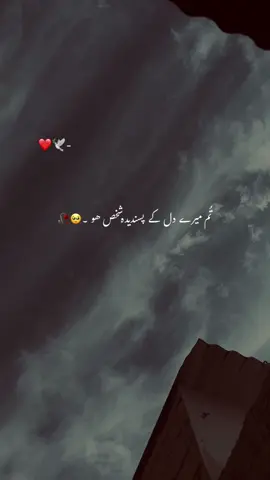 ❤️‍🩹🥺 تم میرے دل کے پسندیدہ شخص ہو جانی #aethetic #urdupoetry #faryoupage #growmyaccount #viral_video @᭄𝙂ű𝙧𝙞𝐲𝒶🔥 