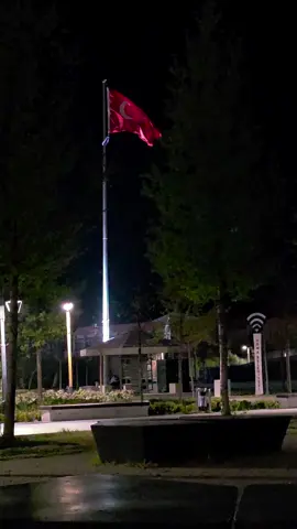 #bayrak #gece #turkey #fy 