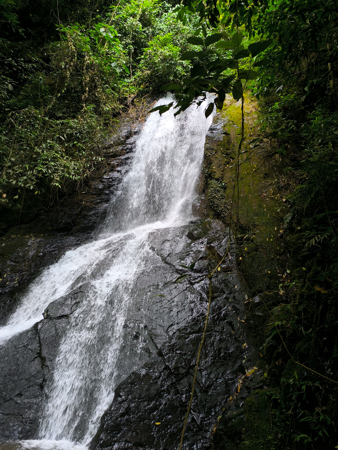 El premio siempre es mejor con cascada 🤍 Cascada la mariposa, en pance cali valle del cauca.  #cascada #colombia #pance #montañas #cali 