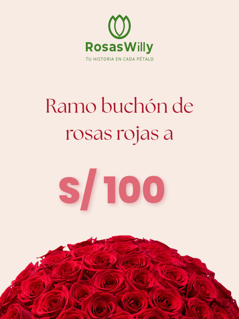 🌹 Gran oferta por tiempo limitado Ramo buchón de rosas rojas a solo S/100 ❤️ Sorprende a esa persona especial con un detalle que no olvidará ✨ 📲 Escríbenos y reserva el tuyo