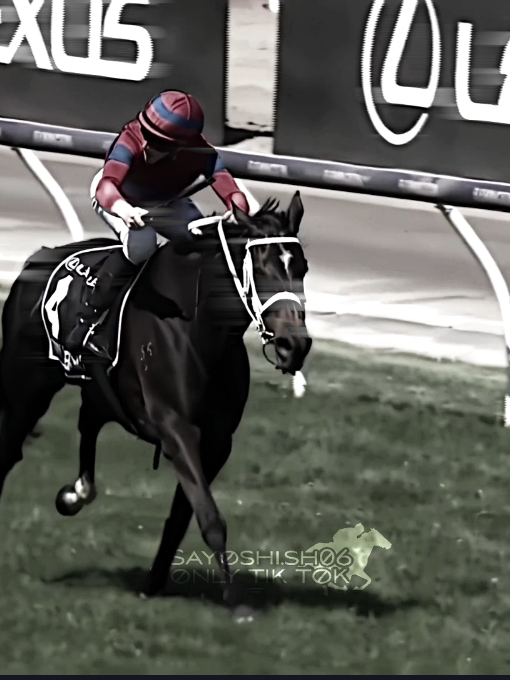 Very Ellegant 😭  #horseracingedit #racehorses #horseracing #horseracingedit #racehorses 