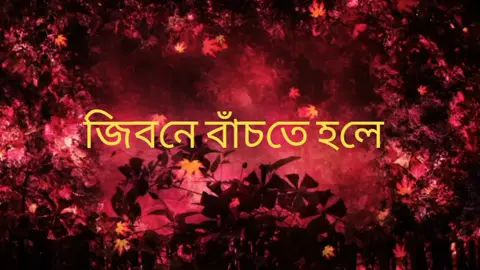 #🦋🦋🦋🦋🦋🦋🦋🦋 #❤️‍🩹❤️‍🩹❤️‍🩹😭😭💔💔