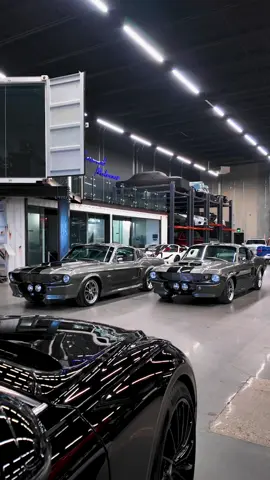 Thought it was just one… then the second one woke up. Twin Eleanor Mustangs, one reveal, and that cold start hits different. 🔥 Sometimes one legend isn’t enough. 💨 #Mustang #Eleanor #ColdStart #CarReveal #MuscleCars 