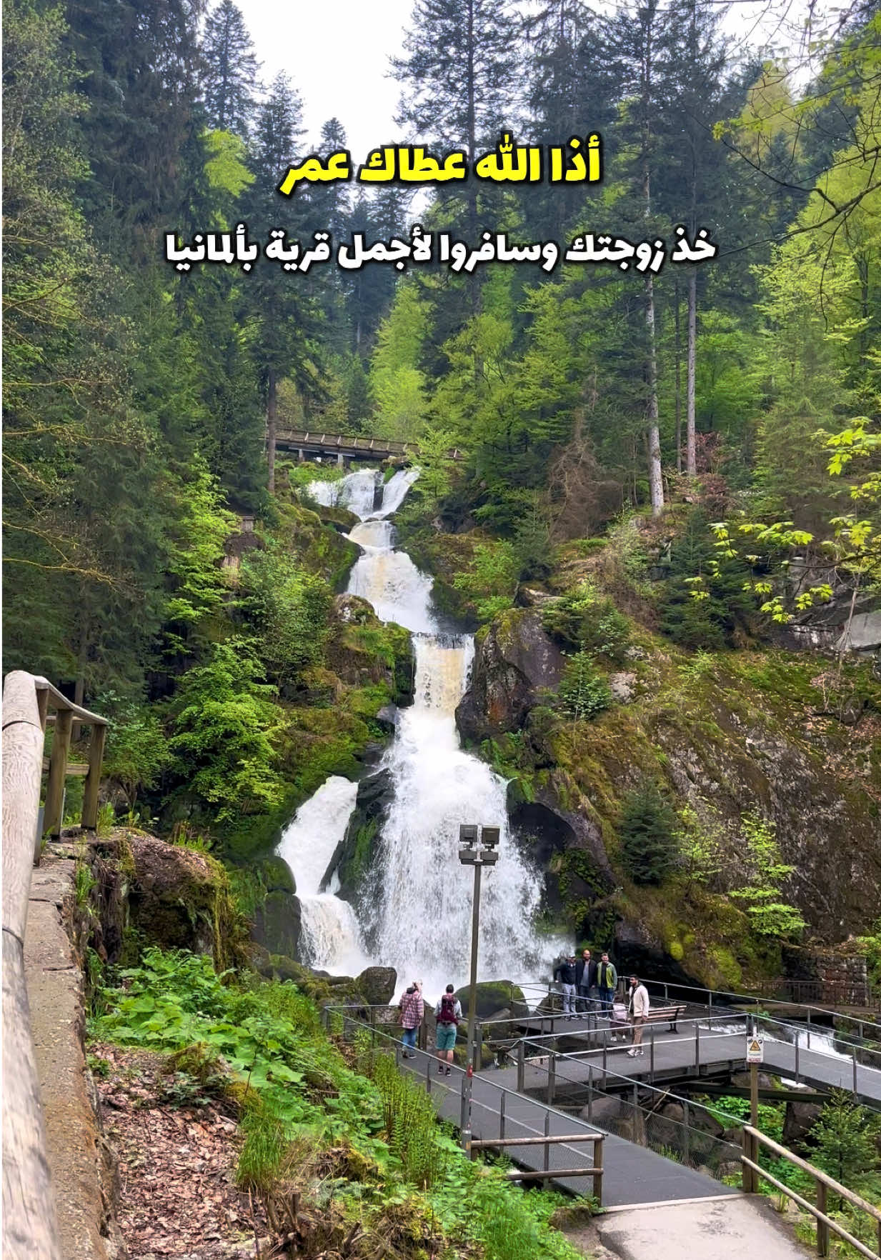 أثبتت الدراسات الحديثة بأن الزوج اللي يسافر مع زوجته مرة على الأقل في السنة .. يعيش عمر أطول من المعتاد ويبقى سعيداً ومرتاح البال ✈️😍 بقلب الغابة السوداء .. في مكان رح يخليك تشك إذا أنت بألمانيا أو داخل فيلم خيالي 🎬🌲 هون موجودة شلالات Triberg Wasserfälle  أعلى شلالات بألمانيا .. وصوت المي فيها لحالو تجربة 🔥 المشي بين الأشجار العملاقة .. والهواء النقي .. وصوت المياه وهي عم تنزل بقوة .. بيخلوك تنسى كل شي حواليك 🌿 المكان مو بس شلال .. هو رحلة هدوء .. وطاقة .. وجمال طبيعي صعب يتكرر 📍 الأفضل تزوره بالربيع أو الصيف لأن الطبيعة هون بتكون بأجمل حالاتها 🌸 🔥 نصيحتي : لا تجي بس تصور وتمشي .. خذ وقتك وامشي بكل المسارات لأن كل زاوية هون .. قصة مختلفة أهم المدن في مقاطعة بادن فورتمبيرغ وبڤاريا 🇩🇪 🌻 باڤاريا  König am see - Ramsau bei Berchtesgaden - Mittenwald - Garmisch - Eibsee - Schwangau - Füssen - Kochel am see - Tegernsee - münchen - Oberstdorf - Lindau insel 🤍 🌸 بادن فورتمبيرغ  Meersburg - Friedrichshafen - Konstanz - Mainau Insel - Heidelberg - Stuttgart - Baden Baden - Tübingen - Triberg - Freiburg 🤍 #اكسبلور #سياحة #سفر #explore #germany 