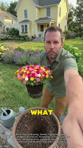Portulaca seeds for gardening. Beautiful plants, pretty flowers #flowers #plants #gardening #PlantTok #garden 