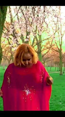 aamina dhool alahayo sidii roon hees hore #prokhadarnuur📷 #somalimusic #foryoupage 