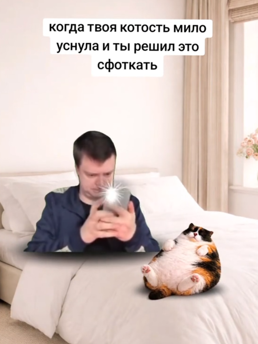 #кот #котость #котик #мем #прикол 