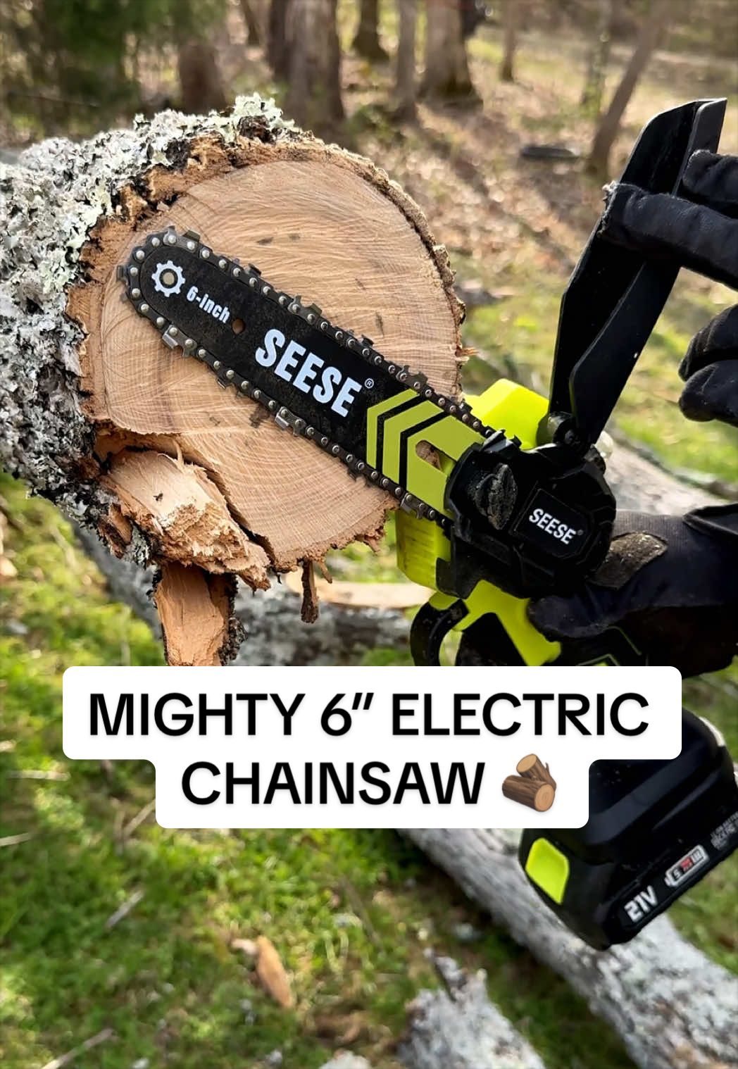 6” Electric Chain Saw With Oiling System. #TikTokShop #TikTokMadeMeBuyIt #chainsaw #handytools @SEESE OS 