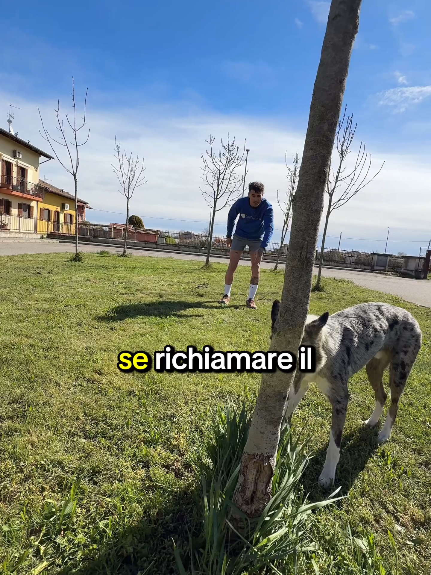 IL TUO CANE TI IGNORA? GUARDA QUESTO Se richiamare il tuo cane è una battaglia… non sei l’unico. Il problema non è che non ti ascolta. È che fuori ci sono cose più interessanti di te. Odori. Giochi. Stimoli. E tu? Lo chiami insicuro… ripeti il nome… resti fermo. Così perdi. La soluzione: 👉 chiamalo una volta 👉 muoviti, scappa, diventa interessante 👉 premialo quando viene Il cane segue ciò che lo coinvolge. Diventa tu quella cosa. Salva questo video e prova questo esercizio già oggi 🐶👇 #dogtok #cani #perte #fyp #dogtips #imparacontiktok #viral #foryou