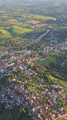 voando como passaro