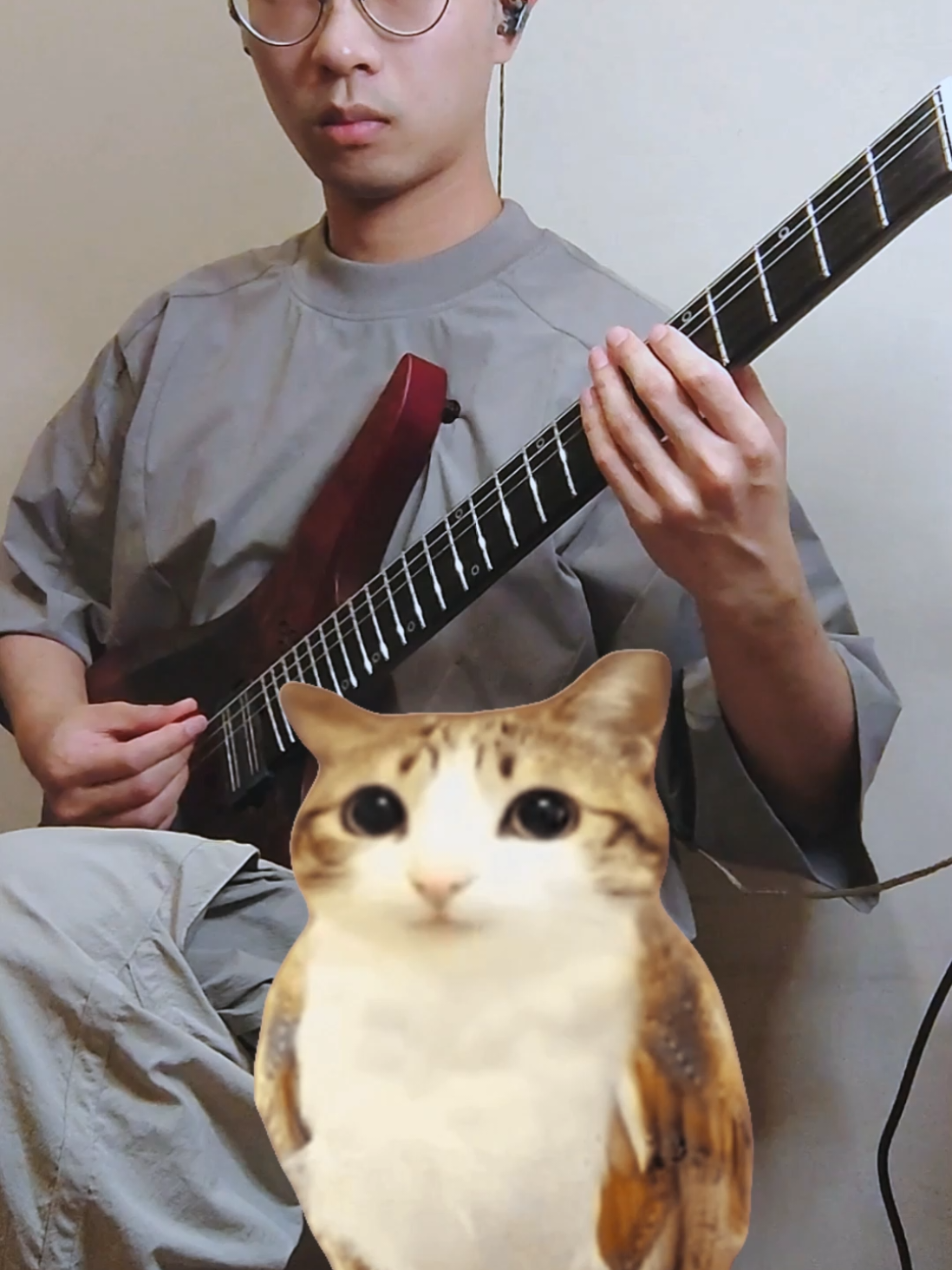 How's your knee #meowl #meme #guitar #cat #fyp 