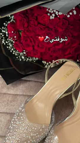 #اعراس_جزائرية #شوفة #algeria 💍❤️