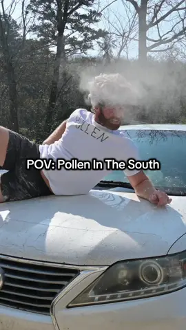 Dog this pollen in the south is TERRIBLE #south #spring #comedy #sketch