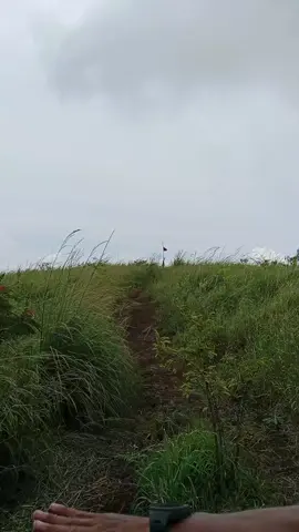 #savanaanasera #anasera #gunungmojokerto #savanaanaseragunungbekel #fyp #fypシ #viral
