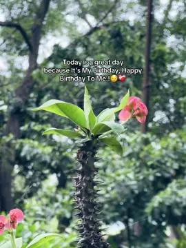 Today is a great day because It's My Birthday, Happy Birthday To Me.!😌❤️‍🩹#caption #foryou #highlight #viral 