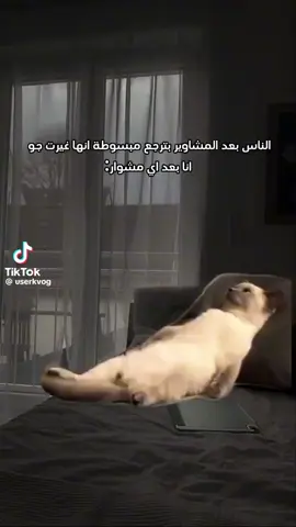 اه ياركب اه يا المفاصل 🥴🥴 #متابعه #مشاهدات #اكسبلور #ام_عبدالرحمن_موسى #متابعه_ولايك_واكسبلور_احبكم 