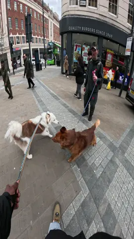 Interactions with my dog!!  #fyp #foryou #viral #dogs #foryoupage 