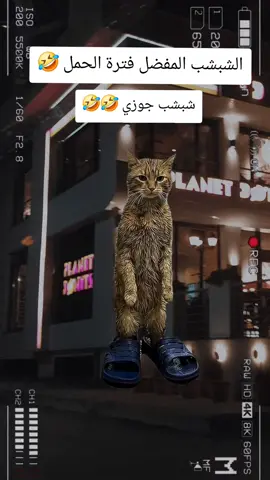 الراعي الرسمي اكيد كلكو لبستوه زيي خصوصا من الشهر السادس للتاسع 🤣#Meme #MemeCut #CapCut # #حوامل_الشهر_التاسع #حوامل_السعوديه 