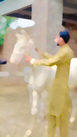 #🥰🥰🥰 🐴💯🦅👀🤟🐎