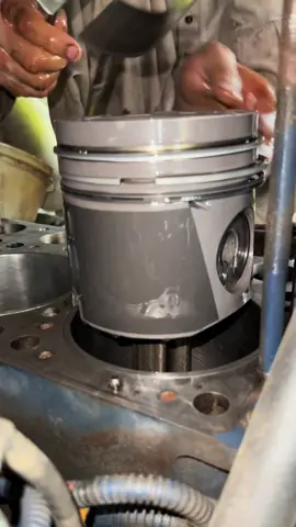Piston installation six cylinder diesel engine #mechanic #viral #usa🇺🇸 #tiktok #workshop 