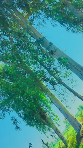 @Chahal Princess @جاوید صاحب 🦅🔥 