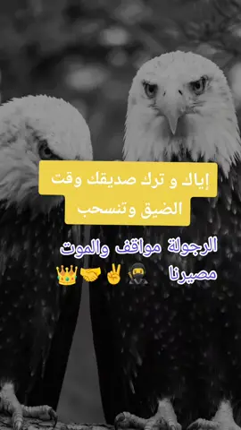 #creatorsearchinsight2026 #####الرجولة مواقف الموت واحد فلا تعيش جبانا  ✌
