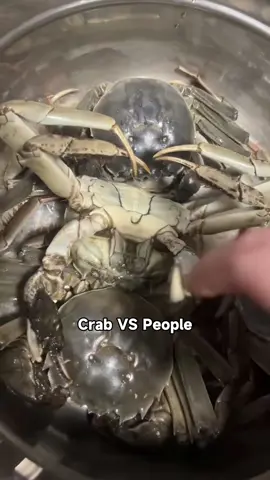Crab VS People 🦀#crab #funnyanimals #funnyvideos #fyp #funnycrab   
