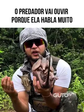 Ele vai hablar muito e te esculachar se você predar ele.  #AnimaisDublados
