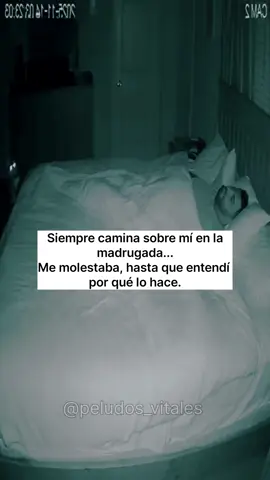 ✅ Lee aquí 👇 ¿Tu gato camina sobre tu cara en plena madrugada… y te despierta de golpe? 😿 Estás durmiendo profundo… 😴 todo tranquilo… y de pronto… ¡patas felinas en tu cara! 🐾 A veces se queda mirándote 👀 o incluso te toca con su patita Y piensas: 👉 “Qué molesto” 👉 “Solo quiere atención” 👉 “Seguro tiene hambre” Pero la verdad es otra. 🐱 Tu gato no está tratando de fastidiarte. Está comprobando que estás bien. 💔 Cuando estás profundamente dormido, tu respiración es lenta y casi no te mueves… Y en su mundo eso puede ser una señal de alerta. 🧠 Los gatos son extremadamente observadores. Si te ven demasiado quieto… se acercan a verificar: 👉 “¿Está respirando?” 👉 “¿Todo está bien?” 🐾 Es su forma felina de cuidarte. Aunque no lo parezca… 😿 Muchos gatos desarrollan un instinto de vigilancia sobre su humano Y cuando hay vínculo… se vuelven pequeños “guardianes nocturnos” 💜 💡 ¿Qué puedes hacer? ✔️ No lo castigues ✔️ Entiende que no quiere molestarte ✔️ Dale un espacio cerca de ti para dormir ✔️ Permite que se sienta tranquilo contigo Poco a poco, todo mejora 🐾 Cuando comprendes esto… dejas de verlo como algo molesto y empiezas a verlo como lo que realmente es: un gesto de cuidado… aunque un poco torpe 😹 En la guía 