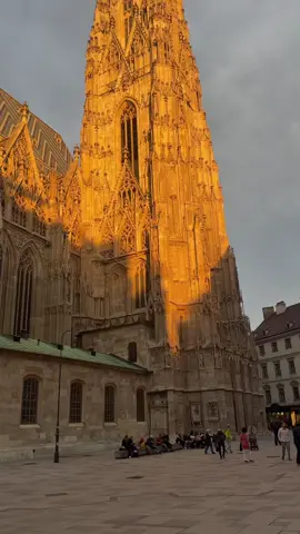 #vienna #austria #fyp #explore 